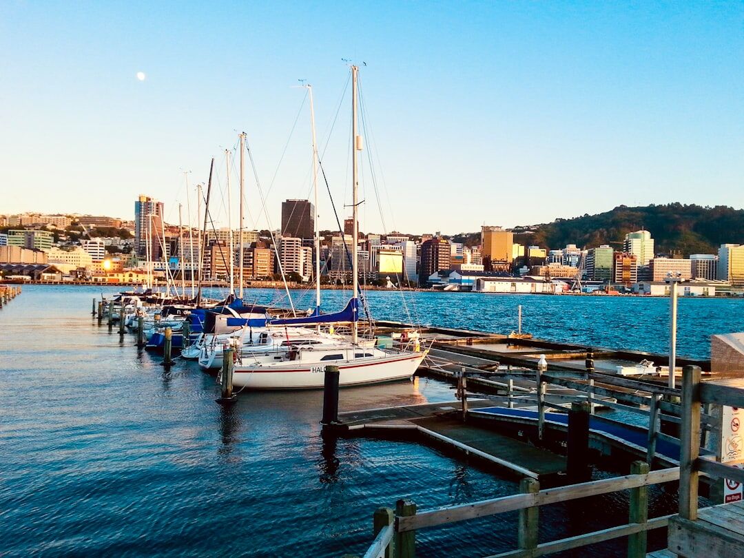 White yachts anchored at a marina at sunset
