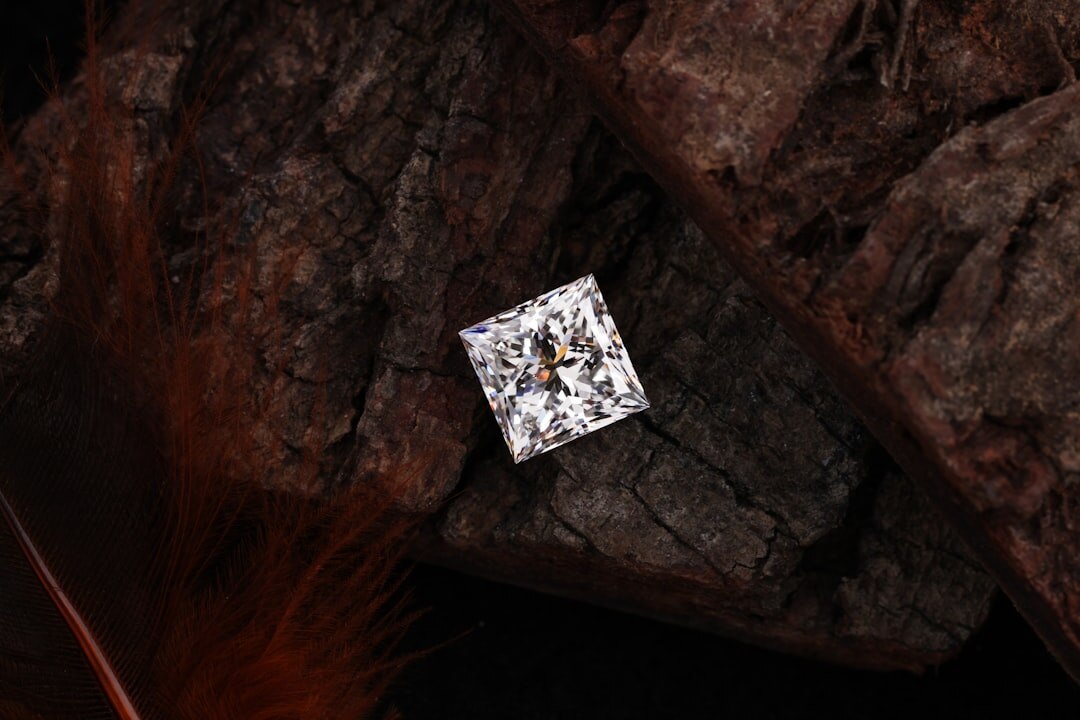 elegant jewelry close up